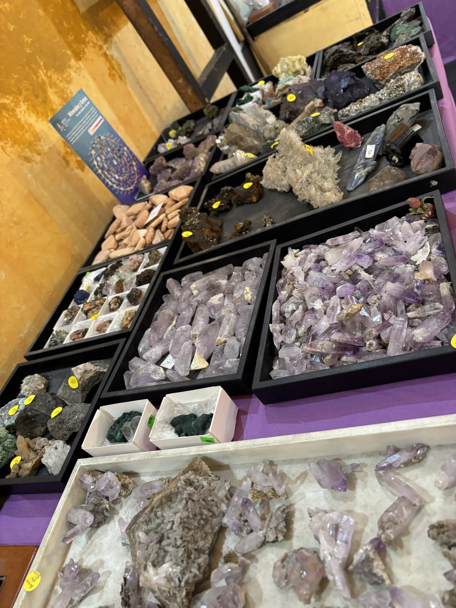 Mineral trays in a Centro Histórico shop.