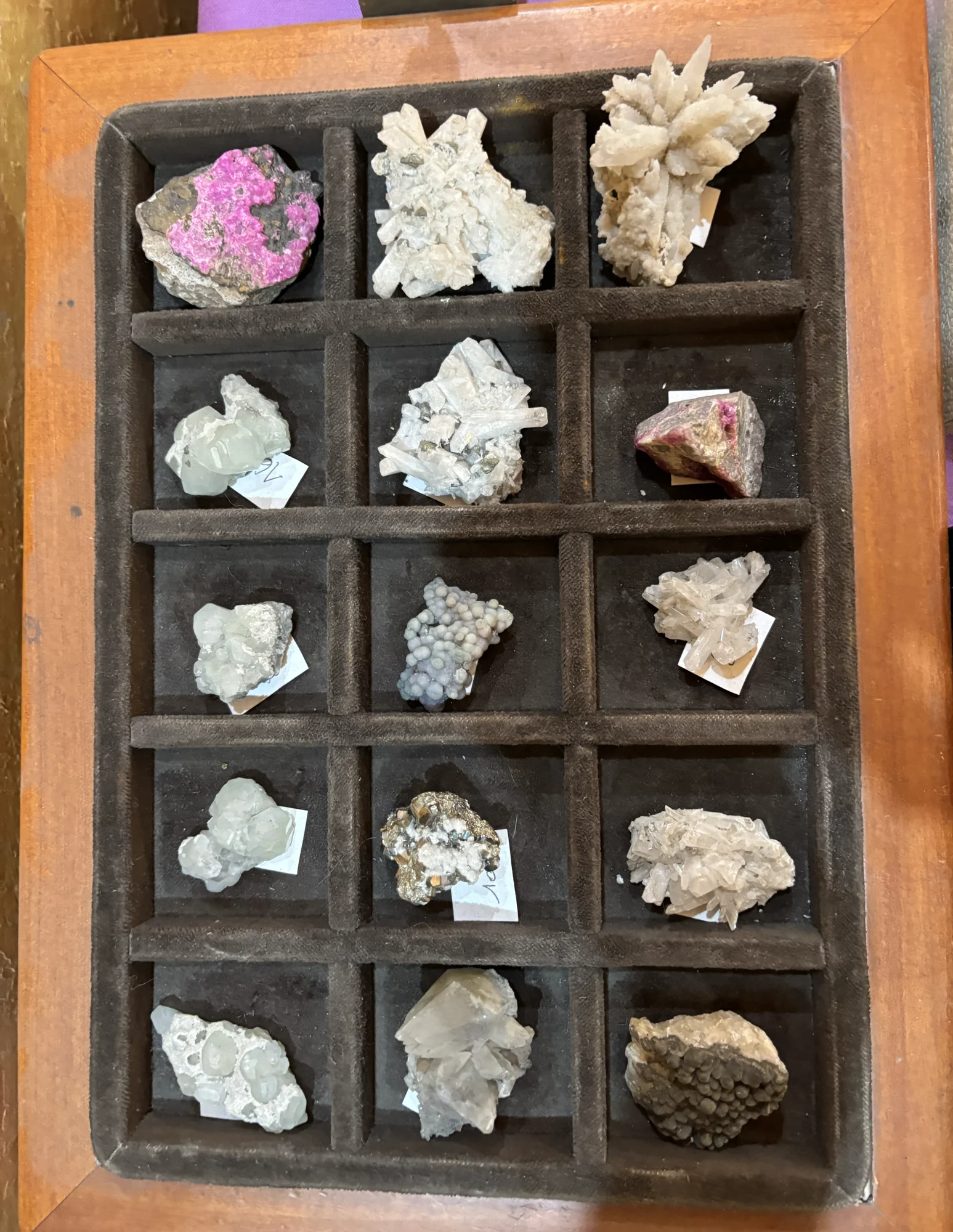 A tray of mineral specimens.